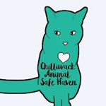 Chilliwack Animal Safe Haven